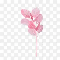 手绘植物-空若网 手绘植物-空若网