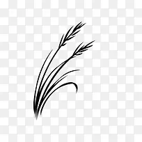 �滭ֲ�� С��  �ڰ�-������