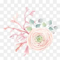 手绘植物-空若网 手绘植物-空若网