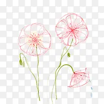 手绘花装饰-空若网 手绘花装饰-空若网