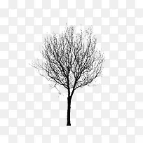 绘画植物 树 黑白-空若网 绘画植物 树 黑白-空若网
