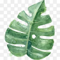 手绘小清新叶子-空若网 手绘小清新叶子-空若网