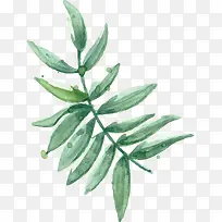 手绘小清新叶子-空若网 手绘小清新叶子-空若网