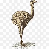 ÍÒÄñ-¿ÕÈôÍø ÍÒÄñ-¿ÕÈôÍø