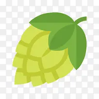 啤酒花-空若网 啤酒花-空若网