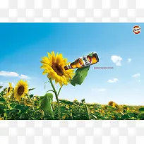 ơ�����տ��������-������