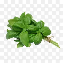 蔬菜-空若网 蔬菜-空若网