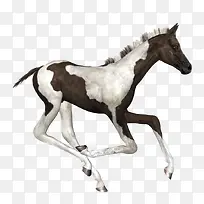 �ֻ����ֻ�-������