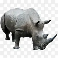 ��ͨ�����زĶ���ͼƬ-������