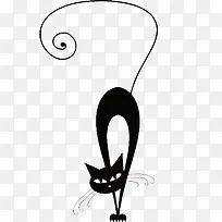 可爱猫咪-空若网 可爱猫咪-空若网