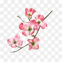 卡通手绘素材图片-空若网 卡通手绘素材图片-空若网