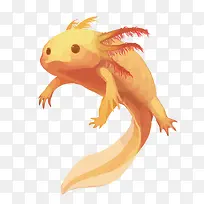 矢量蝾螈-空若网 矢量蝾螈-空若网