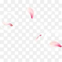 ����Ư��-������