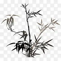 手绘竹叶-空若网 手绘竹叶-空若网