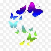 彩色蝴蝶-空若网 彩色蝴蝶-空若网