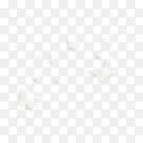 漂浮白色蝴蝶-空若网 漂浮白色蝴蝶-空若网