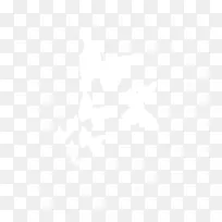 白色漂浮蝴蝶-空若网 白色漂浮蝴蝶-空若网