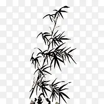 竹子竹叶竹树-空若网 竹子竹叶竹树-空若网