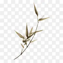 ˮ��ˮī�ϳ���Ҷ-������