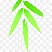 绿色竹叶叶子树枝-空若网 绿色竹叶叶子树枝-空若网