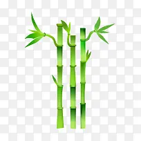 ʸ�� ��ͨ�ֻ� ��ɫ ����-������