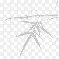 白色的竹子-空若网 白色的竹子-空若网