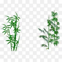 卡通竹子-空若网 卡通竹子-空若网