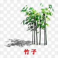 竹子-空若网 竹子-空若网