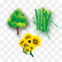 树-空若网 树-空若网