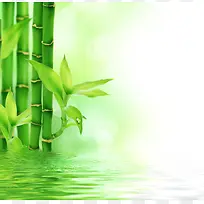 转运竹背景边框-空若网 转运竹背景边框-空若网