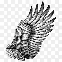 手绘翅膀-空若网 手绘翅膀-空若网