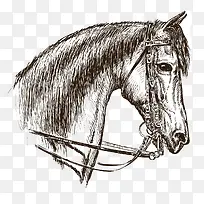 手绘马头-空若网 手绘马头-空若网