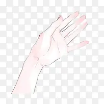 手-空若网 手-空若网