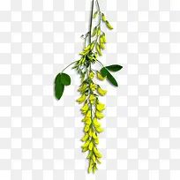 古风装饰卡通手绘古风装饰-空若网 古风装饰卡通手绘古风装饰-空若网