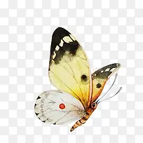 ºûµû-¿ÕÈôÍø ºûµû-¿ÕÈôÍø