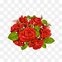 ��õ��-������