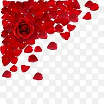 ��õ��-������