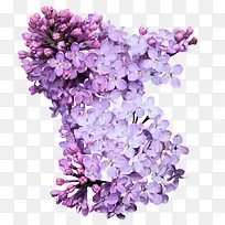 �϶���-������