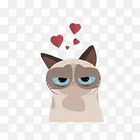 大眼猫-空若网 大眼猫-空若网