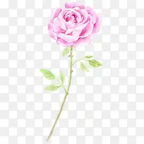 ����ĵ��ˮ�ʹ���-������