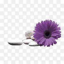 矢量花草素材卡通装饰素材-空若网 矢量花草素材卡通装饰素材-空若网