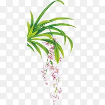 ����С��-������