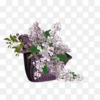 »¨»Üͼ°¸ËزÄÊֻ滨²ÝËØ²Ä-¿ÕÈôÍø »¨»Üͼ°¸ËزÄÊֻ滨²ÝËØ²Ä-¿ÕÈôÍø