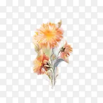 国画花草素材花卉线描-空若网 国画花草素材花卉线描-空若网