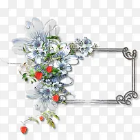 鲜花花卉花卉素材-空若网 鲜花花卉花卉素材-空若网