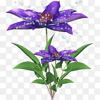 ����ͼ��ps�����ز�-������