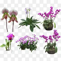 »¨»Üͼ°¸Ëزύ»ÜÉè¼ÆËØ²Ä-¿ÕÈôÍø »¨»Üͼ°¸Ëزύ»ÜÉè¼ÆËØ²Ä-¿ÕÈôÍø