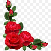 ���������زĻ���ʸ���ز�-������