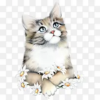 �ʻ����ݻ���ͼ��-������