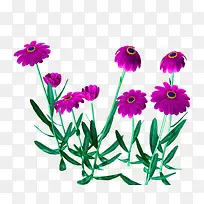 矢量花草素材花卉设计素材-空若网 矢量花草素材花卉设计素材-空若网